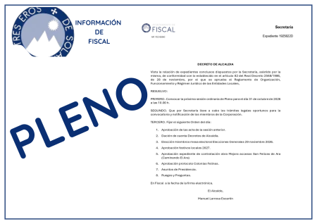 Imagen Pleno Municipal